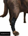 Dog Rear Leg Brace with Metal Support