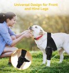 Dog Knee Brace for ACL Injury & Joint Pain