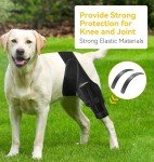 Dog Knee Brace for ACL Injury & Joint Pain
