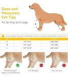 Dog Knee Brace for ACL Injury & Joint Pain