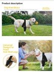Dog Knee Brace for ACL Injury & Joint Pain