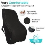 Vive Memory Foam Lumbar Pillow for Back Pain