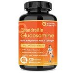 Glucosamine Chondroitin Joint Support Supplement, 120 Caps