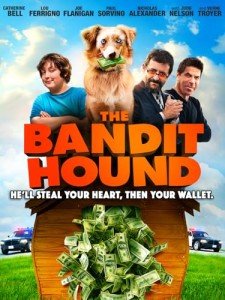 Arthritis Pain Relief Band for Active Dogs