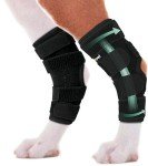 Dog Knee Brace for Arthritis Support - Large