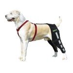 Dog Knee Brace for Joint Pain Relief