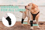Dog Knee Brace for Arthritis Support - Large