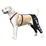Dog Knee Brace for Joint Pain Relief