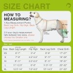 Dog Knee Brace for Joint Pain Relief