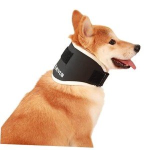 Neck Brace for Dogs with IVDD Support