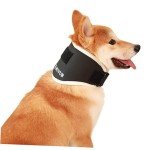 Neck Brace for Dogs with IVDD Support