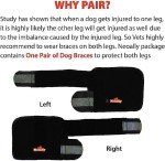 Pet Leg Brace for Enhanced Mobility in Dogs & Cats