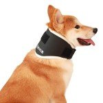 Neck Brace for Dogs with IVDD Support