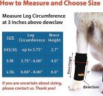 Pet Leg Brace for Enhanced Mobility in Dogs & Cats
