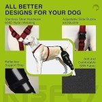Dog Knee Brace for Joint Pain Relief
