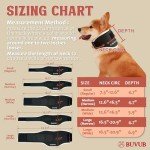 Neck Brace for Dogs with IVDD Support
