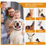 Cold Laser Therapy Device for Dogs - 4×808nm, 16×650nm