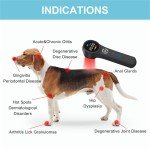 Handheld Laser Therapy Device for Pain Relief