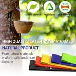 TechStone Resistance Bands Set: 5 Levels for Yoga & Fitness