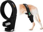Knee Brace for Dogs with Torn ACL
