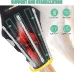 Knee Brace for Dogs with Torn ACL