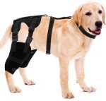 Adjustable Dog Knee Brace for ACL Support