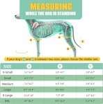 Knee Brace for Dogs with Torn ACL