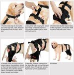 Adjustable Dog Knee Brace for ACL Support