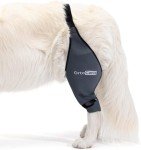 Extra-Large Dog Knee Brace for Joint Support