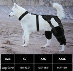 Adjustable Dog Knee Brace for ACL Support