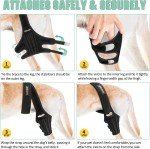 Knee Brace for Dogs with Torn ACL