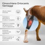 Extra-Large Dog Knee Brace for Joint Support