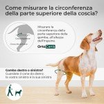 Extra-Large Dog Knee Brace for Joint Support