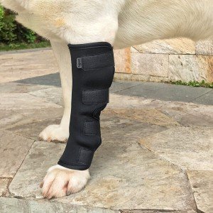 Dog Paw Compression Brace for Pain Relief