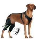 XL Dog ACL Knee Brace for Joint Pain Relief