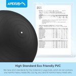 APEXUP Anti-Slip Stability Ball for Therapy and Fitness