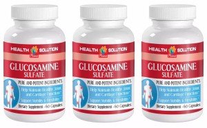 Glucosamine Sulfate Joint Aid for Pets - 3 Bottles