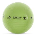 Smart Self-Guided Stability Exercise Ball - 23" Green