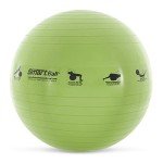 Smart Self-Guided Stability Exercise Ball - 23" Green