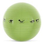 Smart Self-Guided Stability Exercise Ball - 23" Green