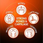 Triple Action Joint Support Supplement with Glucosamine