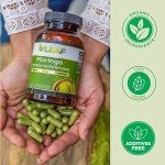 Organic Moringa Oleifera Capsules for Wellness