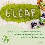 Organic Moringa Oleifera Capsules for Wellness