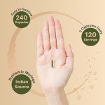 Moringa Capsules for Joint Health & Immune Support