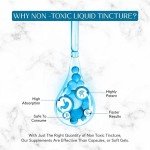 Ursolic Acid Supplement for Joint Support, 590mg