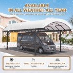 Sturdy 10x20 Metal Carport Canopy for Outdoor Storage