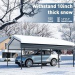 Heavy-Duty 10'x20' Metal Carport Canopy