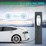 Tesla to J1772 Adapter - 80A, 250V Converter
