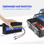 100Ah LiFePO4 Battery with 20A Charger