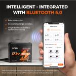 LiTime 12V 100Ah Mini Bluetooth LiFePO4 Battery